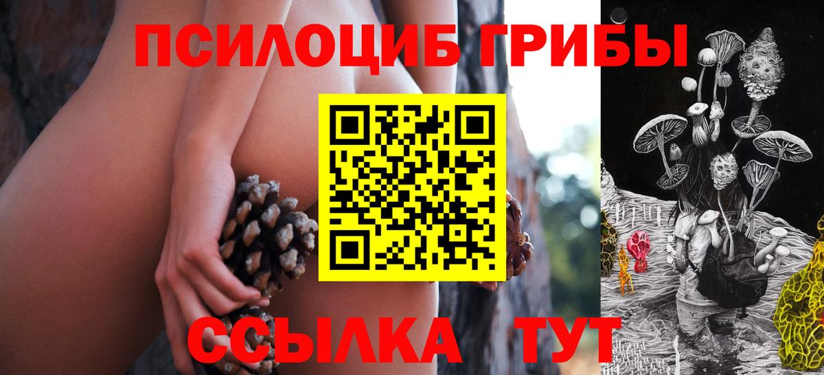 Баксан  Галлюциногенные грибы мухоморы  Вход с VPN 